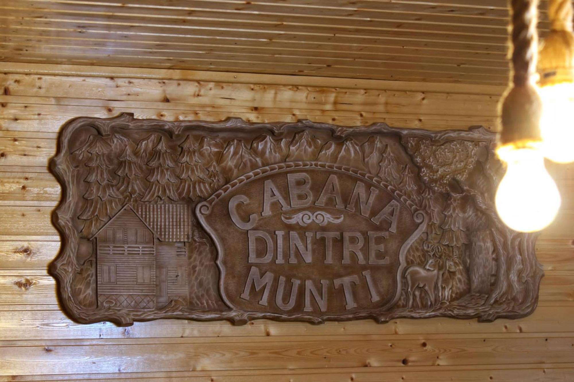 Cabana Dintre Munti Vidra  Exterior foto